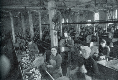 Finishing tobacco pipes ready to go on sale at Woolworths. Click for a larger copy in a new window courtesy of WoolworthsReunited dotcom.